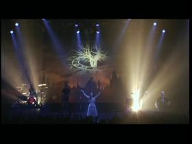 Within Temptation Live in Tokyo 2007